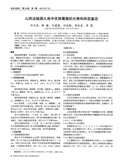 山西边城酒大曲中优势霉菌的分离和形态鉴定