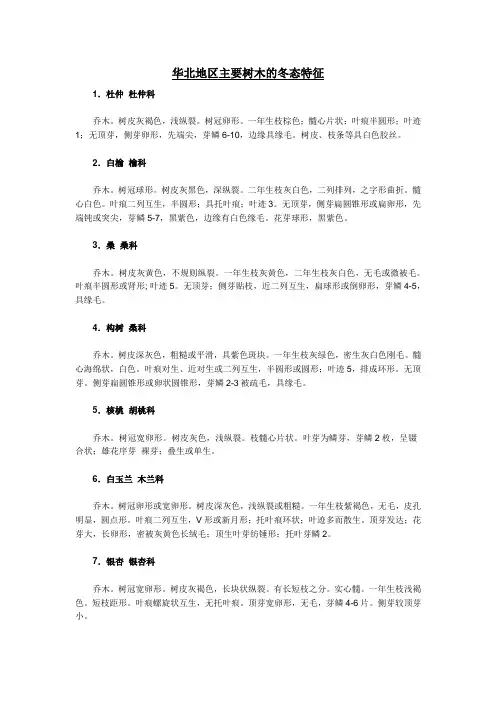 华北地区主要树木的冬态特征