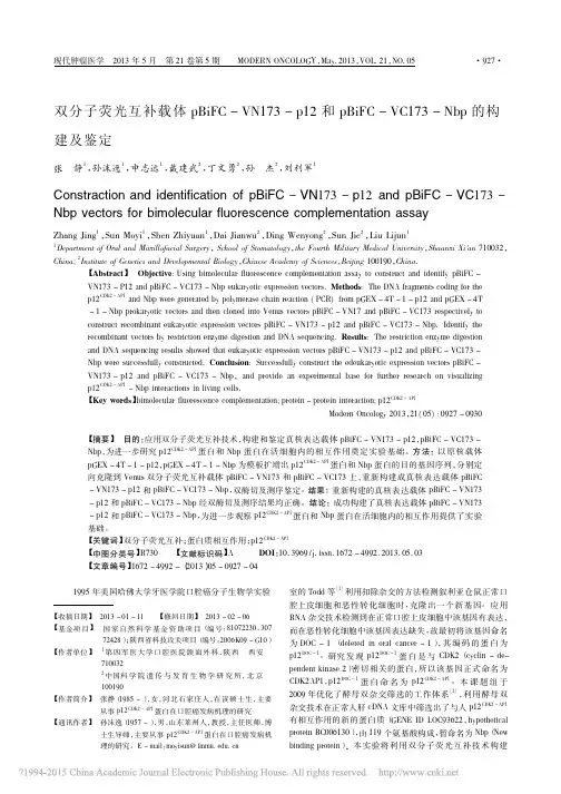 双分子荧光互补载体pBiFC_VC173_Nbp的构建及鉴定
