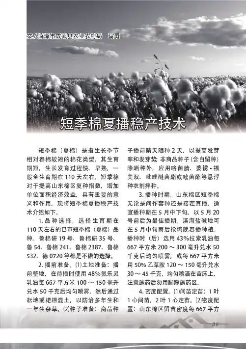 短季棉夏播稳产技术