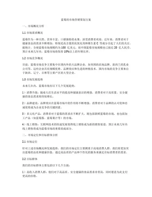 蓝莓的市场营销策划方案