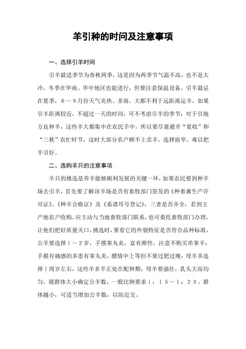 羊引种的时问及注意事项