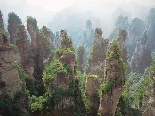 索溪峪的野PPT课件