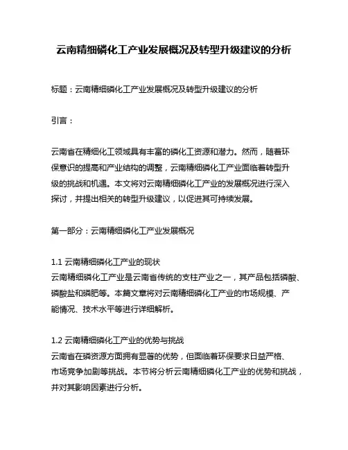云南精细磷化工产业发展概况及转型升级建议的分析