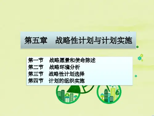 第五章策略性计划和计划实施