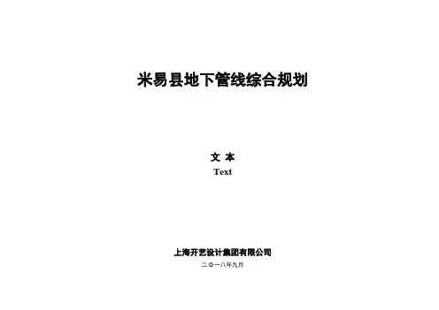 米易地下管线综合规划
