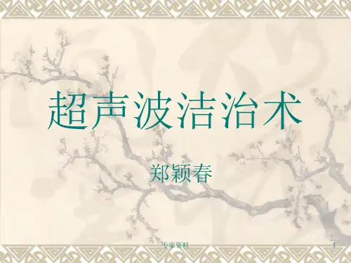 超声波洁治术(洗牙) 操作细则[专家专业]