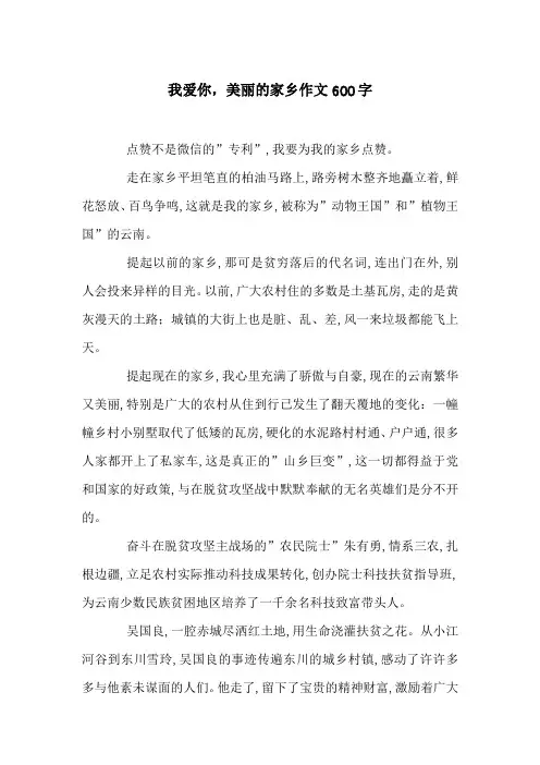 我爱你,美丽的家乡作文600字