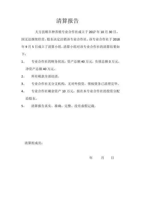 清算报告