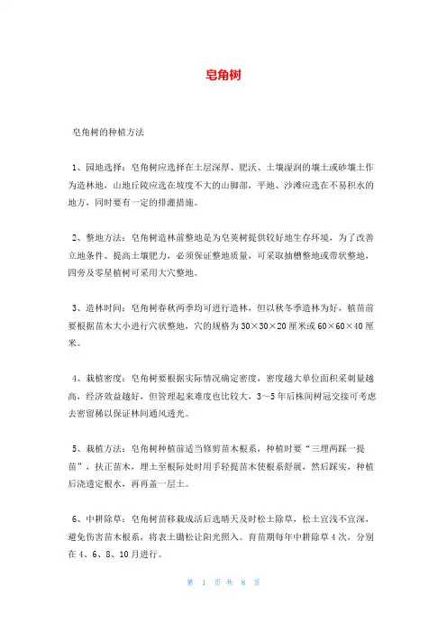 皂角树_精品文档