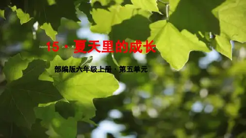 部编版六年级上册语文课件15-夏天里的成长