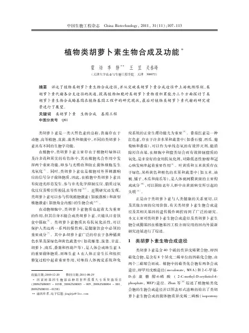 植物类胡萝卜素生物合成及功能