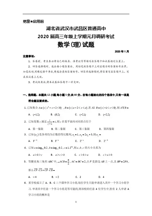 湖北省武汉市武昌区2020届高三元月调研考试数学(理)试题及答案