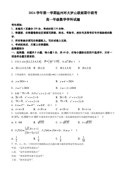 浙江省温州环大罗山联盟2024-2025学年高一上学期期中联考数学试题(含答案)