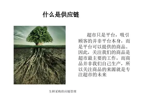 生鲜采购供应链管理课件