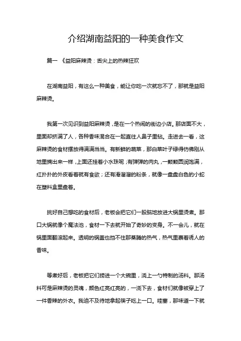 介绍湖南益阳的一种美食作文