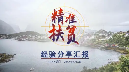 精准扶贫经验分享汇报总结PPT