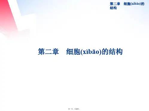 高中生物 第二章第一节细胞概述课件 浙科版必修1