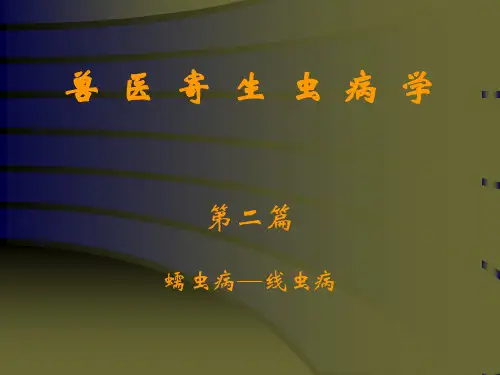 猪蛔虫病