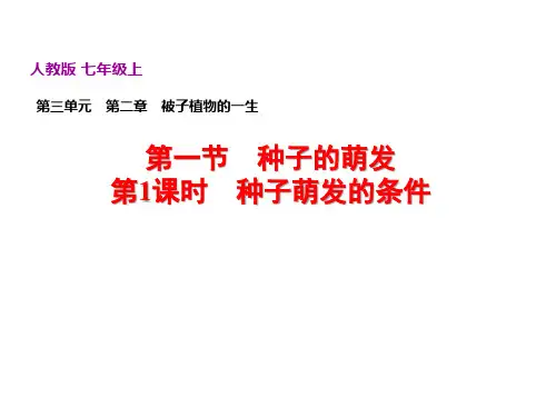 人教版生物七年级第3单元生物圈中的绿色植物第2章被子植物的一生学习课件