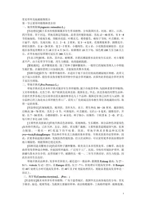 常见草坪及地被植物简介