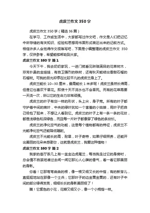 虎皮兰作文350字