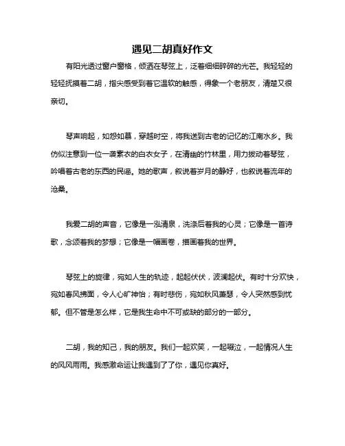 遇见二胡真好作文