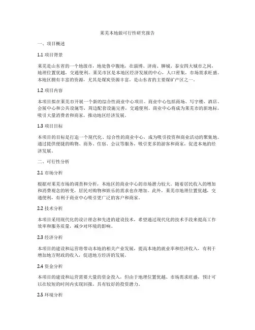 莱芜本地做可行性研究报告