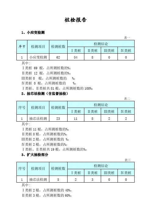 桩基检测报告