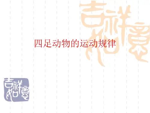 四足动物的运动规律