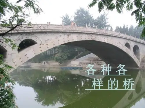 《各种各样的桥 (3)》(幼儿园PPT课件)