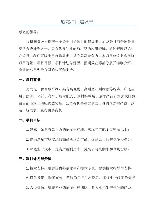 尼龙项目建议书