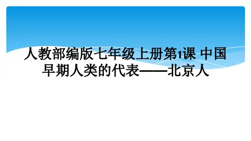 人教部编版七年级上册第1课 中国早期人类的代表——北京人