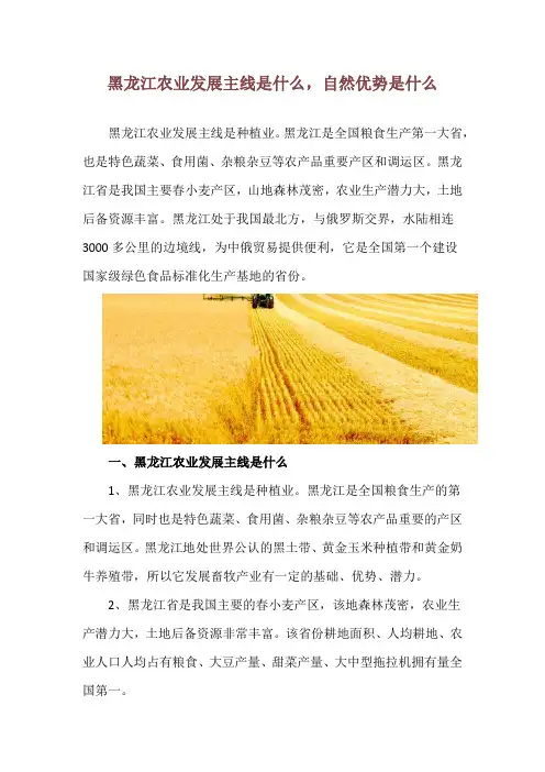 黑龙江农业发展主线是什么,自然优势是什么