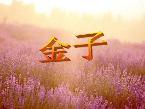 苏教版三年级语文22金子