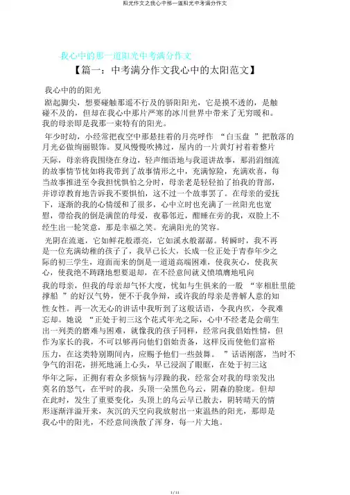 阳光作文之我心中那一道阳光中考满分作文