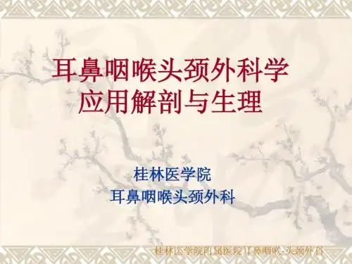 耳鼻咽喉头颈外科解剖生理
