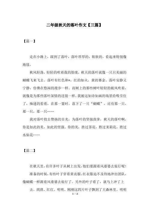 二年级秋天的落叶作文【三篇】