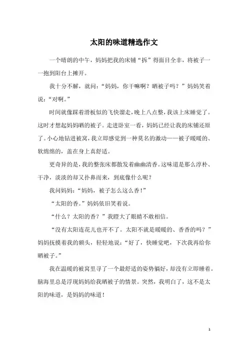 太阳的味道精选作文