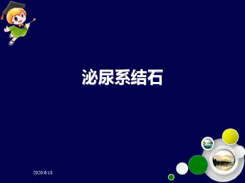 泌尿系结石ppt课件