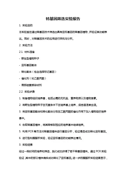 转基因筛选实验报告