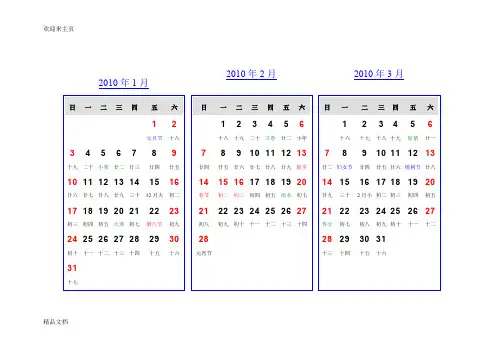 (2020年编辑)2010年日历
