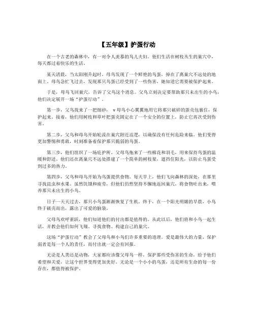 【五年级】护蛋行动