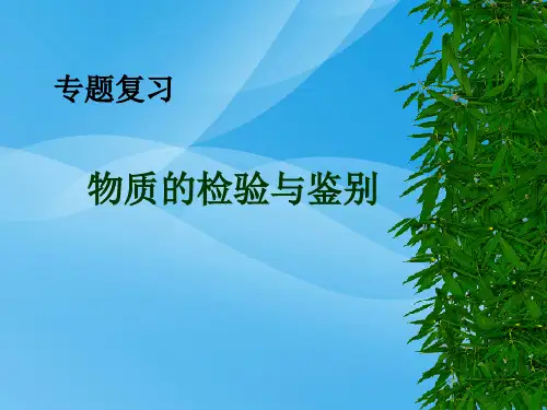 中考化学专题复习物质的检验与鉴别PPT课件1 人教版优质课件