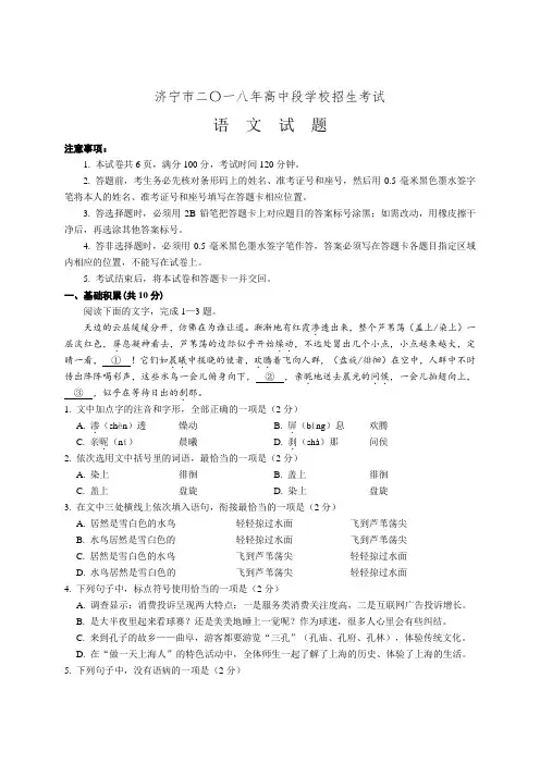 012.山东省济宁市2018中考语文试卷
