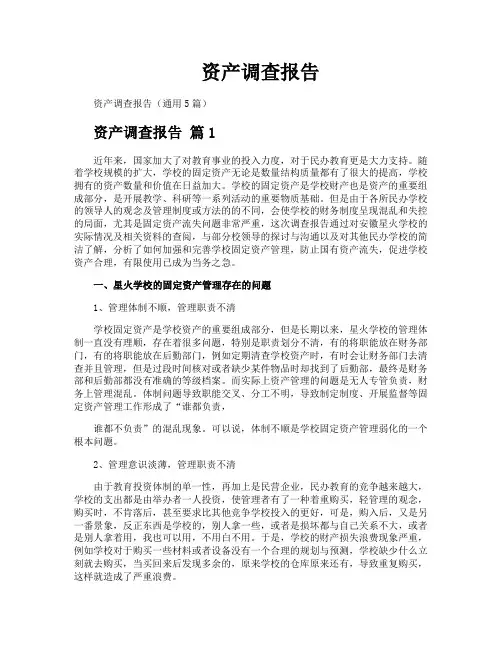 资产调查报告