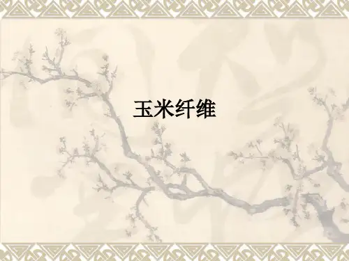 玉米纤维ppt课件