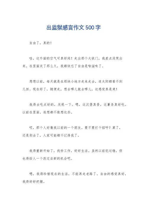 出监狱感言作文500字