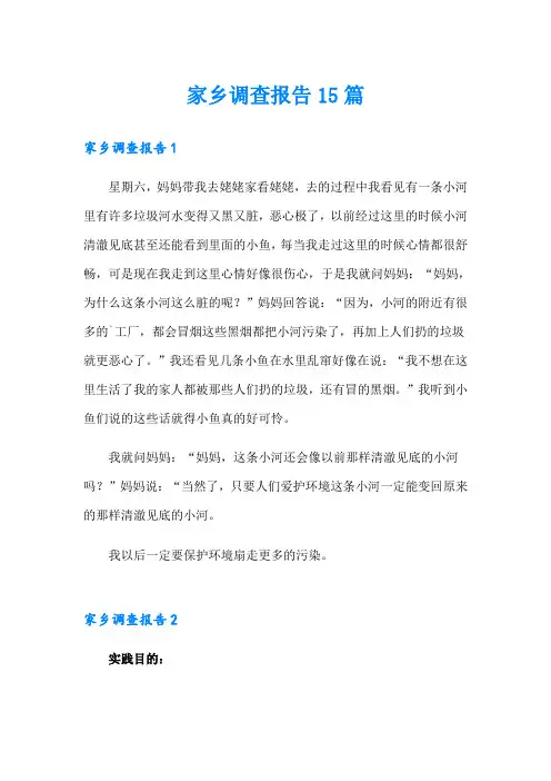 家乡调查报告15篇