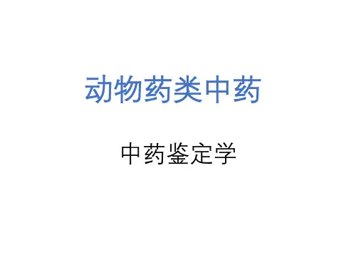 中药鉴定学—动物类中药(一)